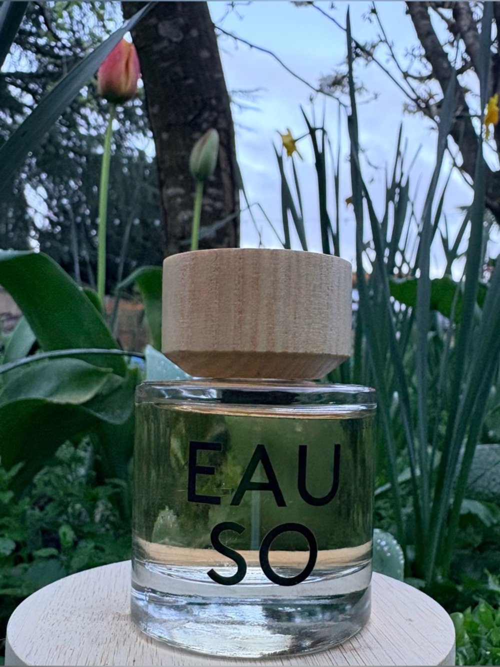 EAUSO VERT | Vanilla Embers | 50mL Eau de Parfum w/o Original Packaging